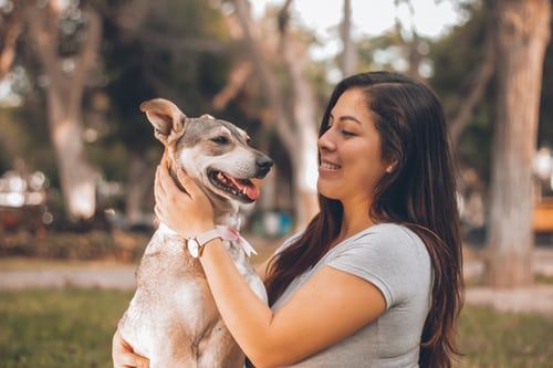 Mensch und Hund im Kontakt
